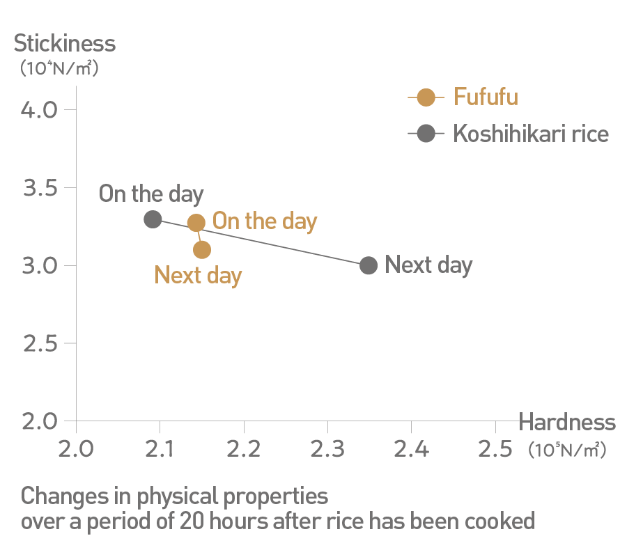 Changes in physical properties over a period of 20 hours after rice has been cooked